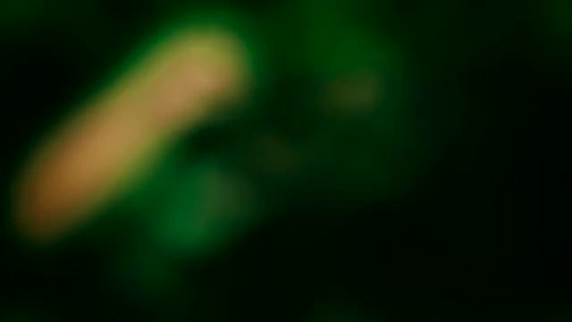 Bokeh Lights On Blurred Background: Stock Video