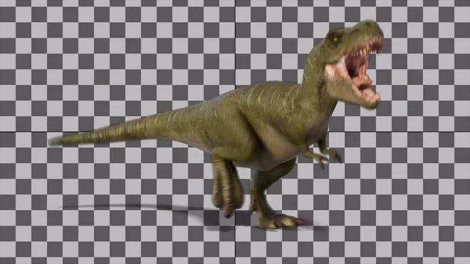 Angry T-Rex dinosaur runs in a looping s, Stock Video