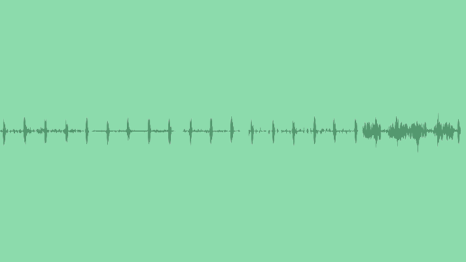 Night In Forest: Sound Effects
