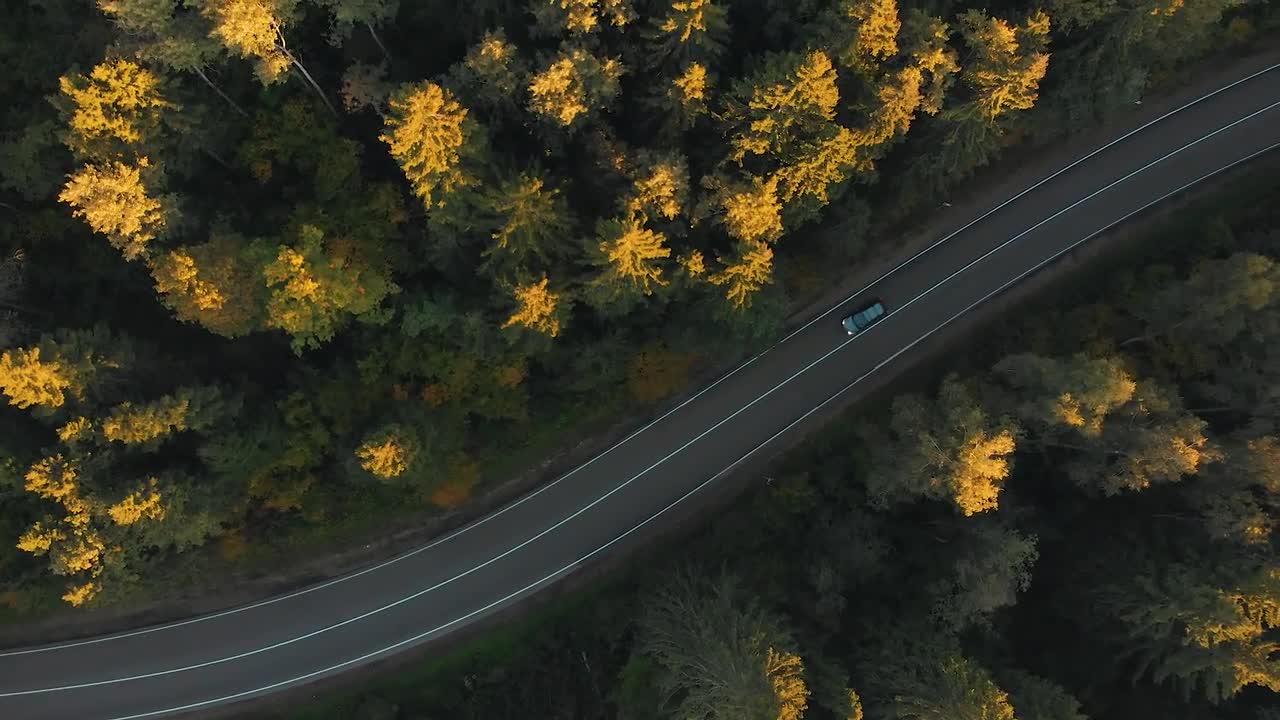 Forest Road Aerial View - Stock Video 