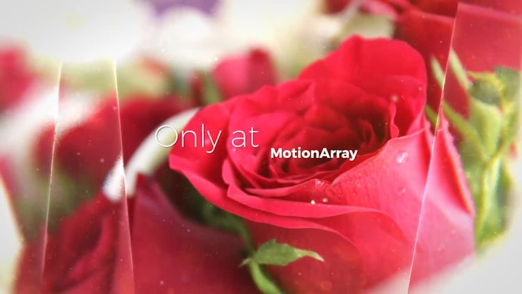 Elegant Glass Slideshow: After Effects Templates