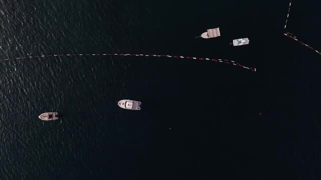 Aerial Shot Of Speed Boats: Stock Video