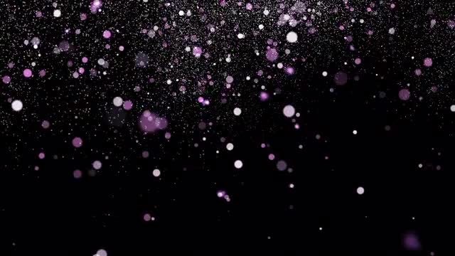 White-Purple Particles Overlay: Stock Motion Graphics