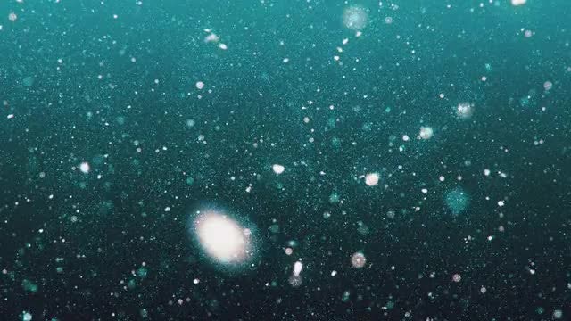 Wintery Particles Background: Stock Motion Graphics