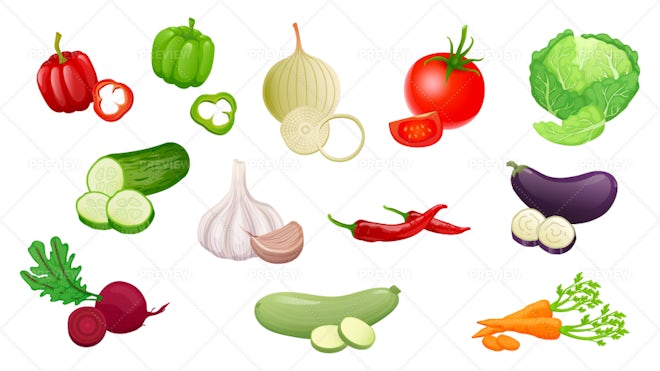 Vegetables. vector illustration © ddraw (#4483315)