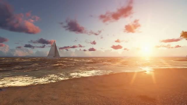 Beautiful Ocean Beach at Sunset: Stock Motion Graphics