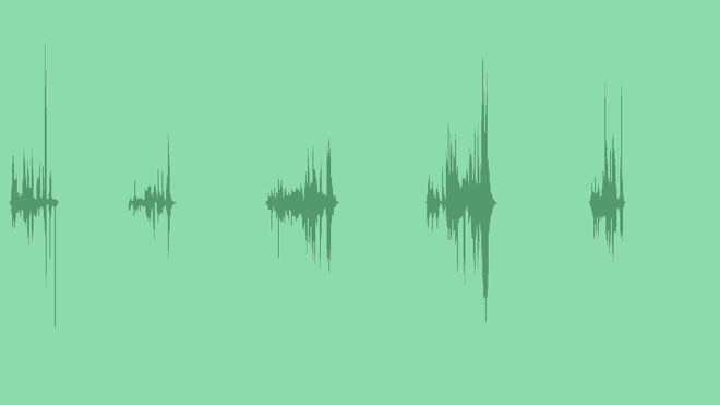Fluttered Book Pages: Sound Effects