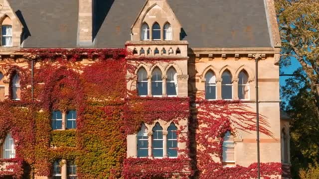Panning Shot Of Manor House: Stock Video