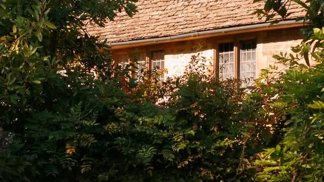 Autumn Foliage And Country House: Stock Video