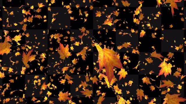 autumn leaves overlays stock
