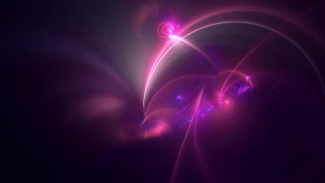 Pink Blooms: Stock Motion Graphics