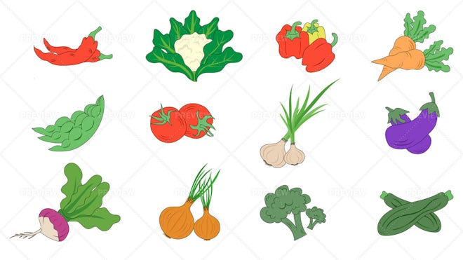 Vegetables. vector illustration © ddraw (#4483315)