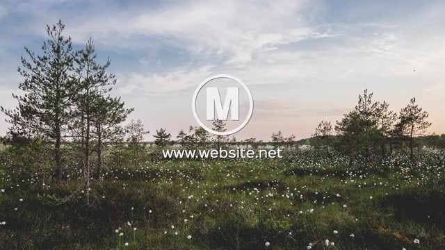 Search Bar Logo: After Effects Templates
