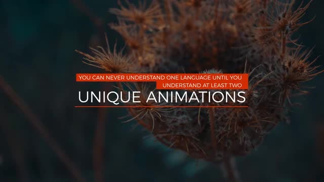 Lower Thirds 4K V.2: After Effects Templates