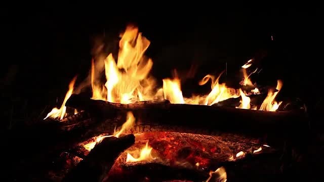Close-up Shot Of A Campfire: Stock Video