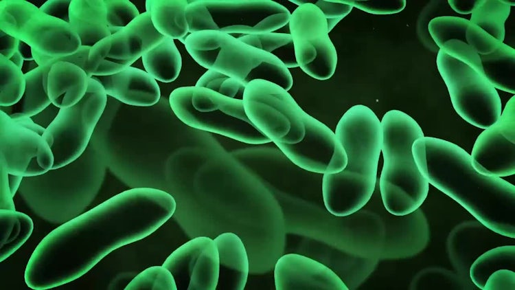Green Virus or Bacteria: Stock Motion Graphics