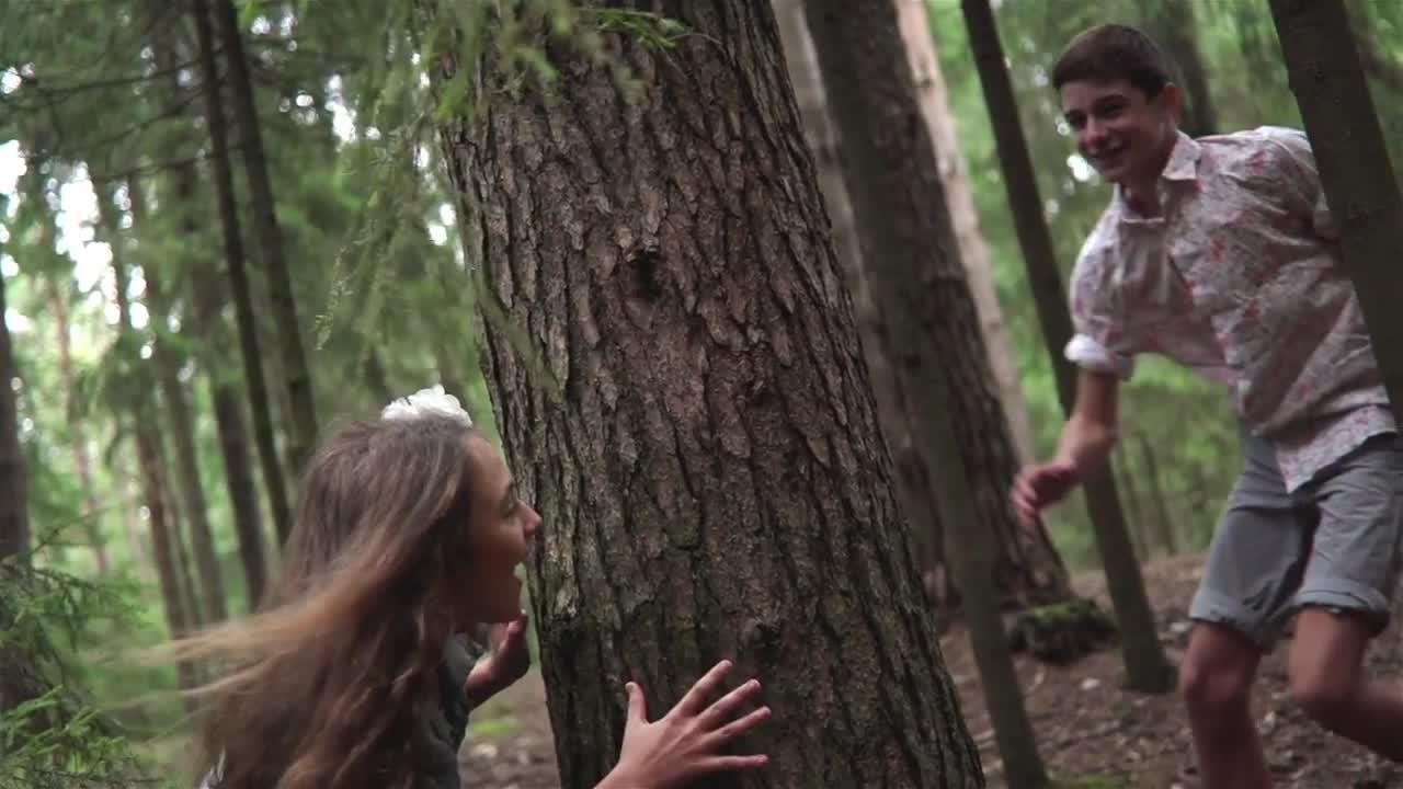 a chase through the woods a chase through the woods
