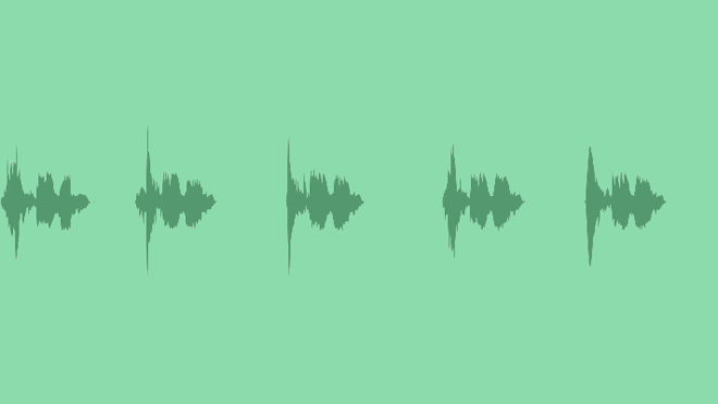 Maracas Single Shake: Sound Effects
