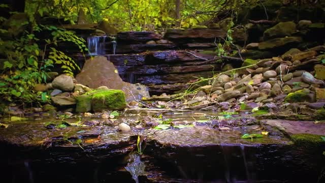 Small Forest Waterfall Time Lapse: Stock Video