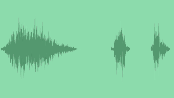 Tree Branch Swish: Sound Effects