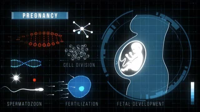 Futuristic HUD Medicine Screen: Stock Motion Graphics