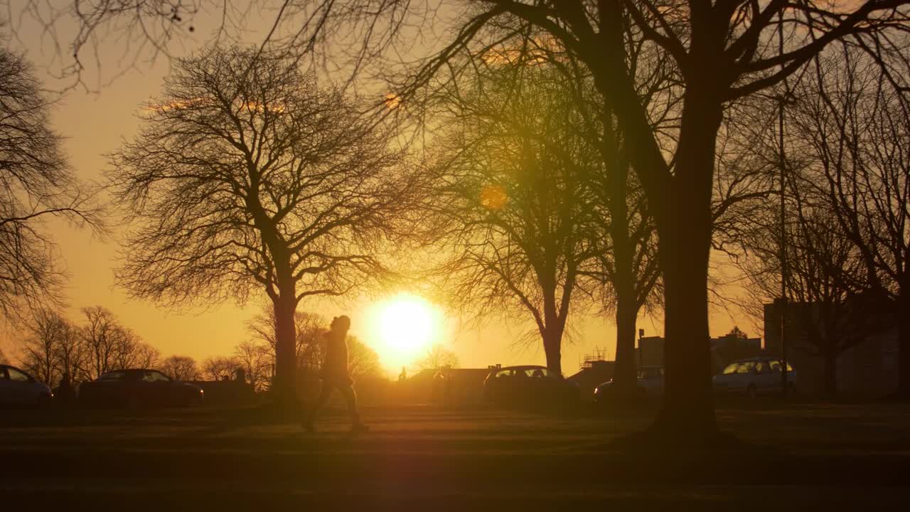 Early Morning Sun In City Park Stock Video Motion Array