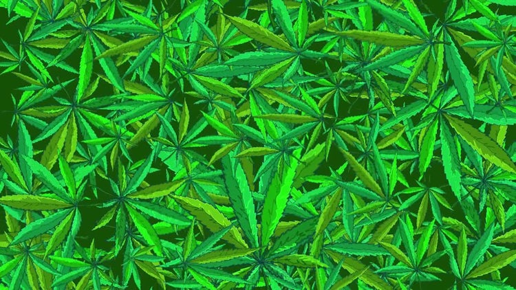 Cannabis Background Pack - Stock Motion Graphics | Motion Array