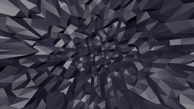 Poly Back 02: Stock Motion Graphics