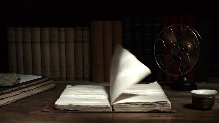 Unfold: Stock Video