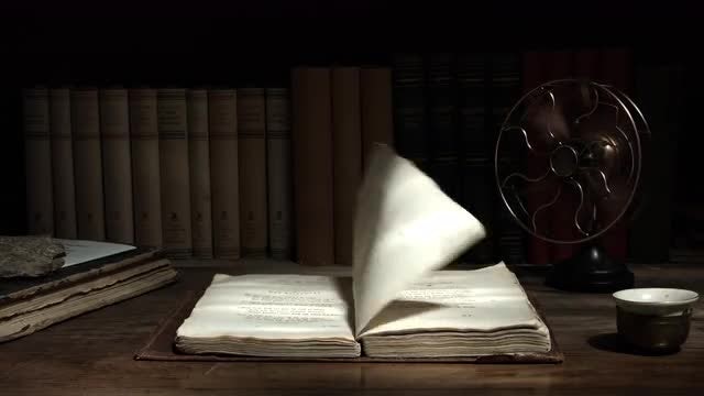 Unfold: Stock Video