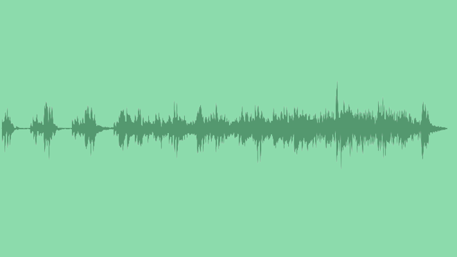 The Bird: Royalty Free Music