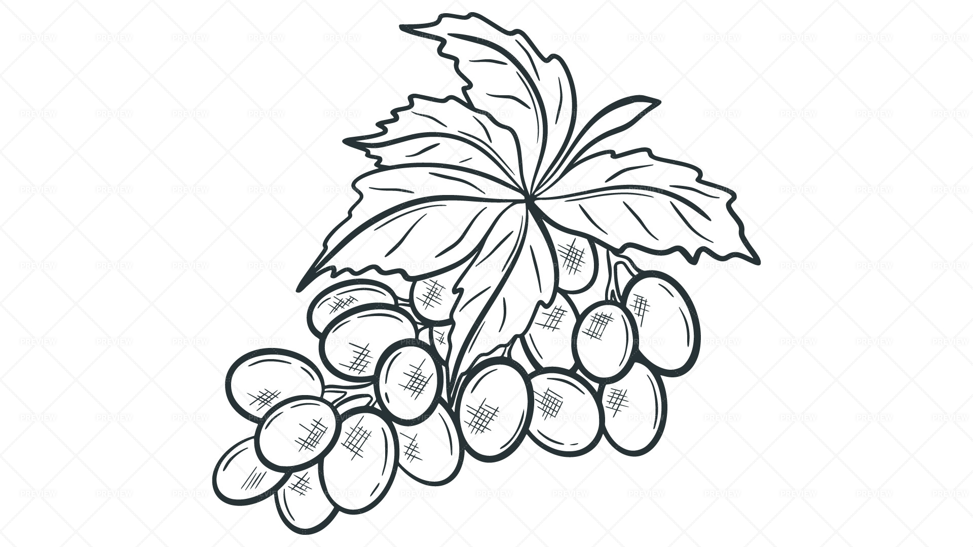 Sketch of bunch grapes Stock Vector by ©vitasunny 64613529
