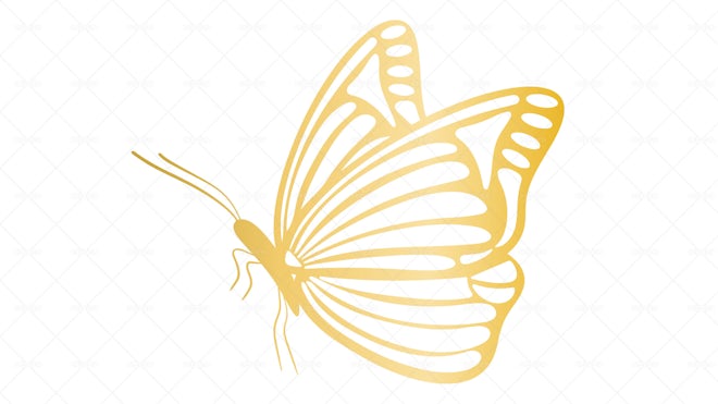 Golden Butterfly PNG Transparent Images Free Download, Vector Files