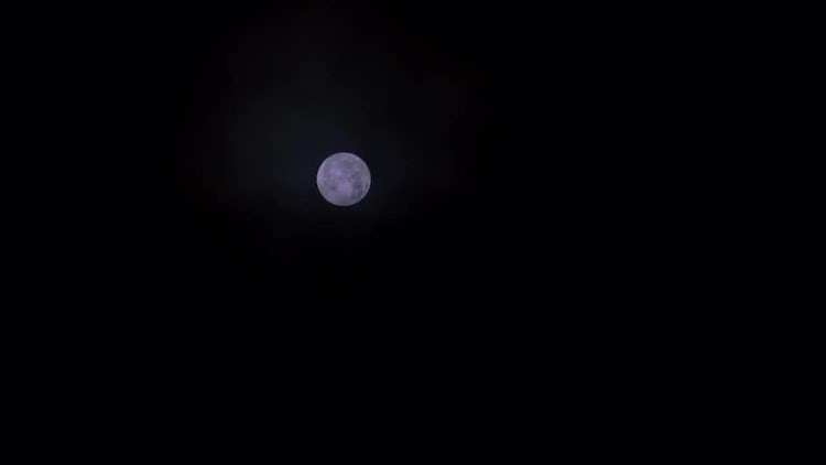 Full Moon At Night: Stock Video