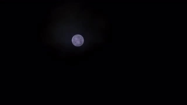 Full Moon At Night: Stock Video