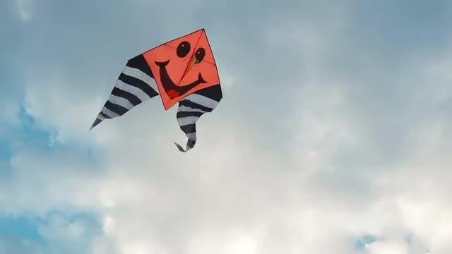 Upbeat Kite Up The Sky: Stock Video