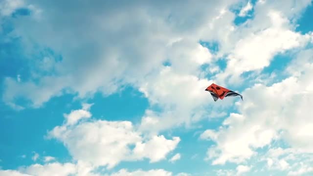 Flying Red Kite: Stock Video