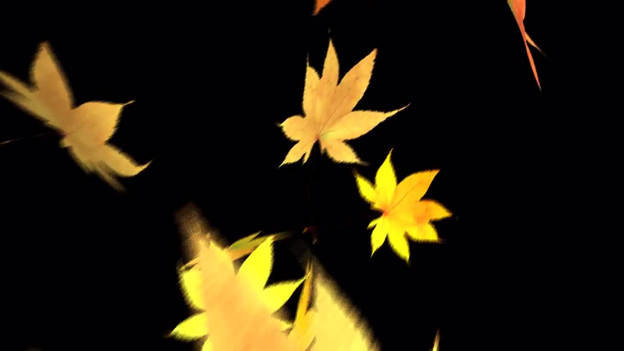 Leaf Fall Transition Stock Motion Graphics Motion Array