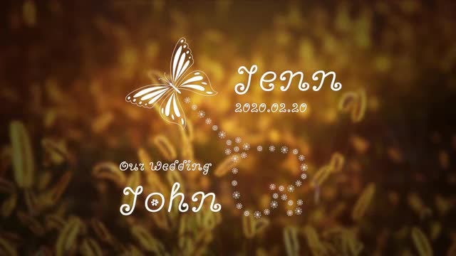 Natural Wedding Titles Pack: After Effects Templates