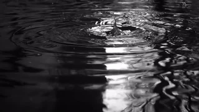 Rain Drops Water Slow Motion: Stock Video
