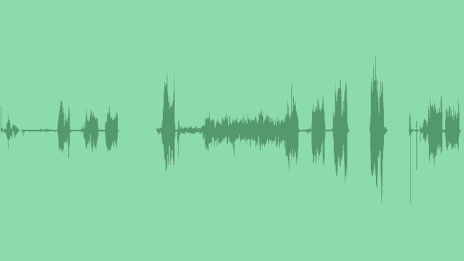 Camera Servos: Sound Effects