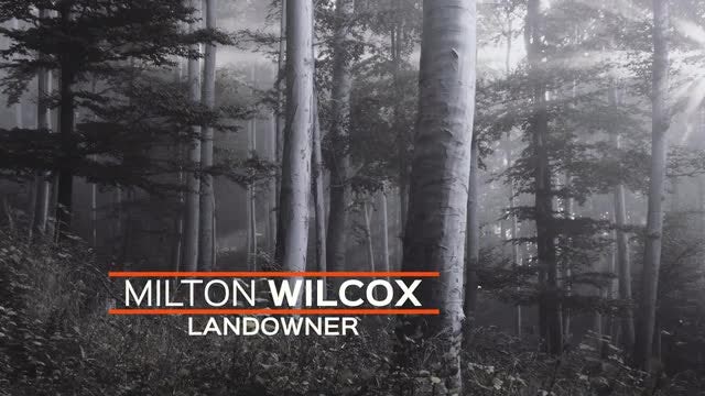 30 Lower Thirds: After Effects Templates