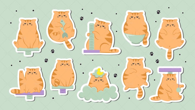 Angry Cat Images  Free Photos, PNG Stickers, Wallpapers