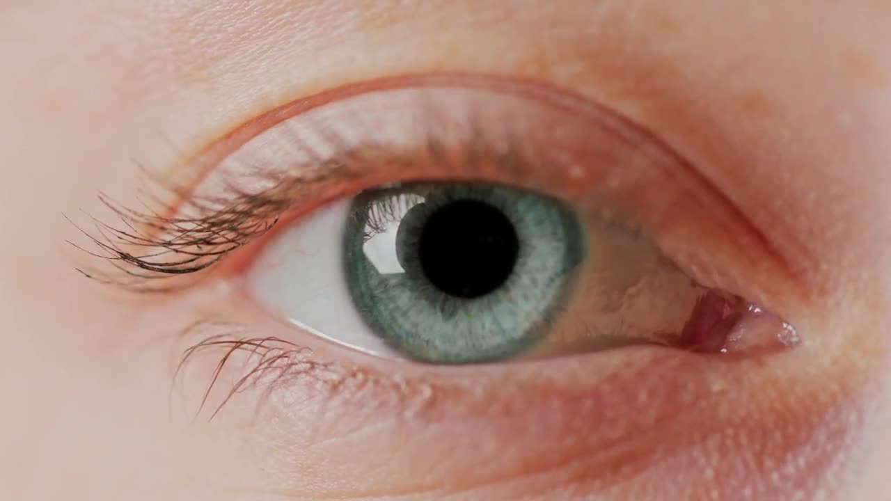 Blue Gray Eyes Stock Video Motion Array