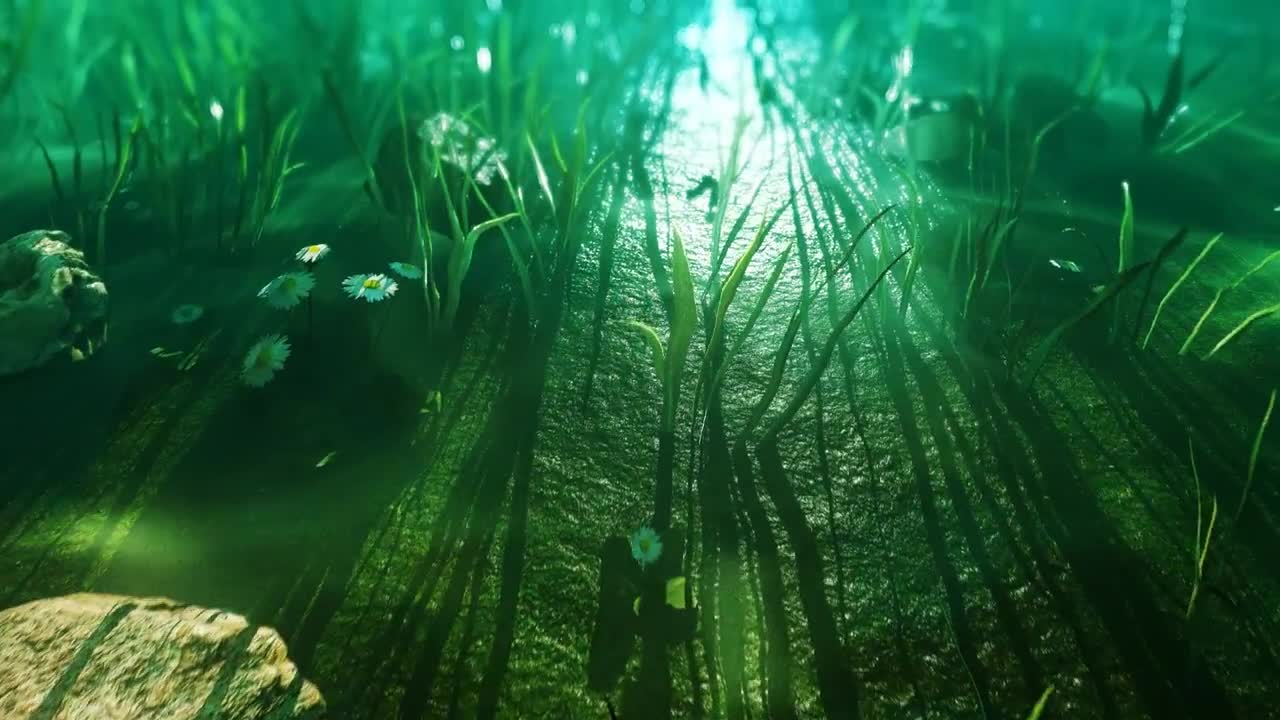 Underwater Ground Camera Animation Stock Motion Graphics