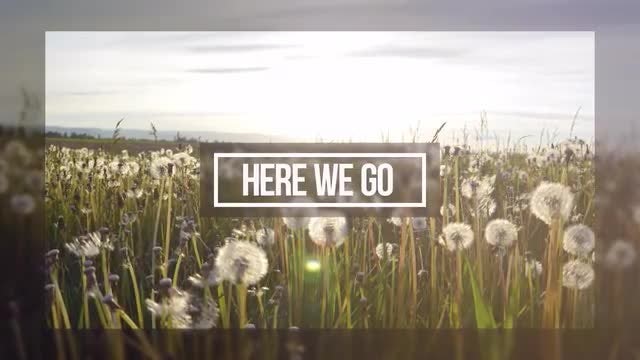 Inverted: After Effects Templates