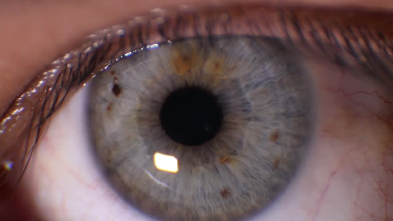 Extreme Close Up Of Human Eye Stock Video Motion Array