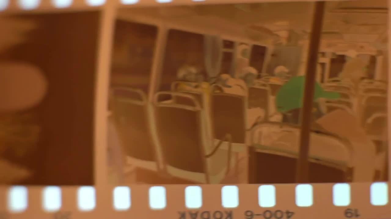 film camera negatives