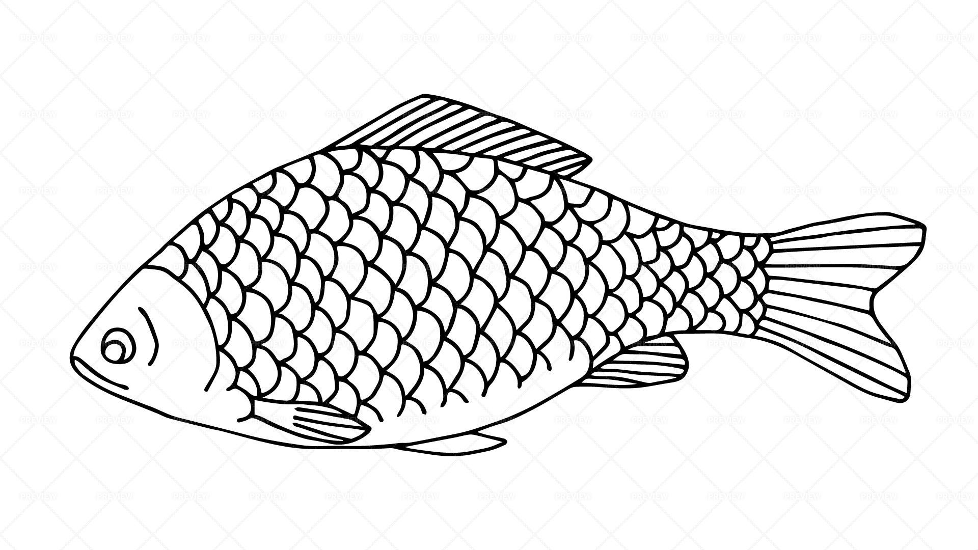 Bull Shark Outline | Simple Fish Drawing