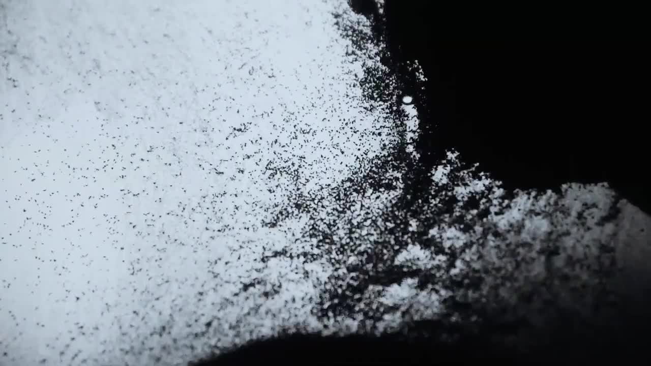 black particles in water